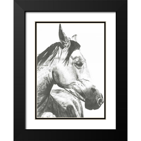 Wildlife Snapshot- Horse II Black Modern Wood Framed Art Print with Double Matting by McCavitt, Naomi
