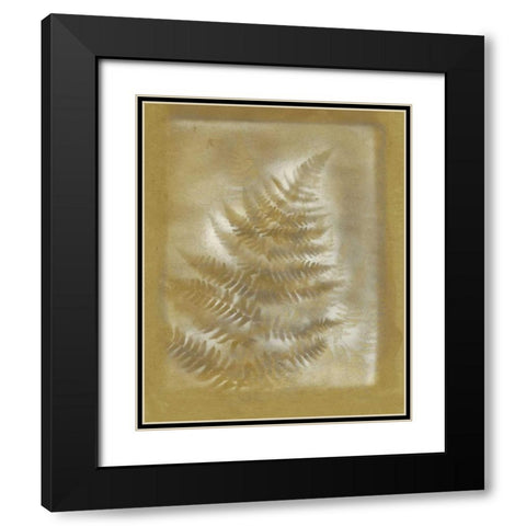 Shadows and Ferns III Black Modern Wood Framed Art Print with Double Matting by Stramel, Renee W.