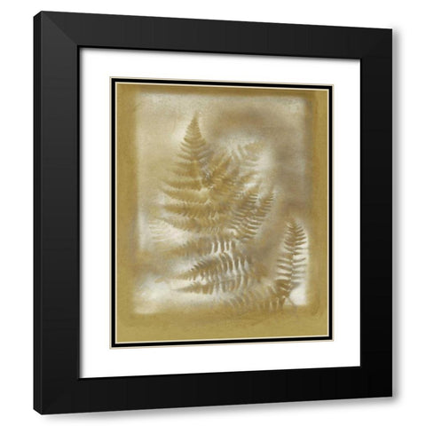 Shadows and Ferns IV Black Modern Wood Framed Art Print with Double Matting by Stramel, Renee W.