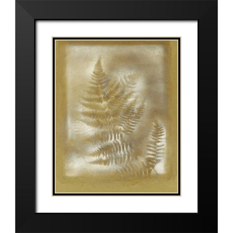 Shadows and Ferns IV Black Modern Wood Framed Art Print with Double Matting by Stramel, Renee W.