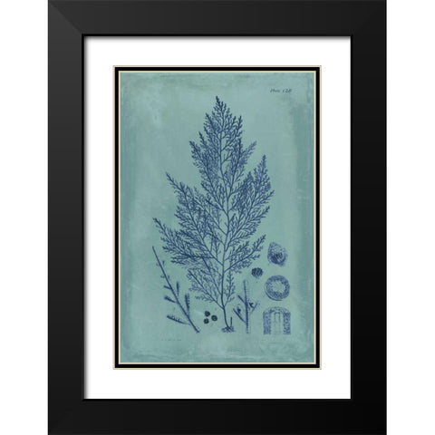 Indigo and Azure Seaweed IV Black Modern Wood Framed Art Print with Double Matting by Vision Studio