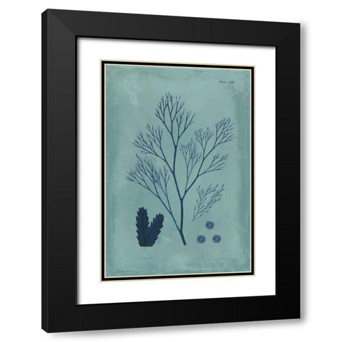 Indigo and Azure Seaweed V Black Modern Wood Framed Art Print with Double Matting by Vision Studio