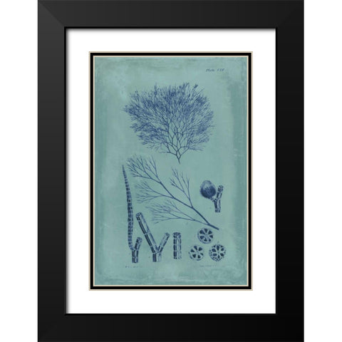 Indigo and Azure Seaweed VI Black Modern Wood Framed Art Print with Double Matting by Vision Studio