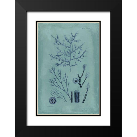 Indigo and Azure Seaweed VIII Black Modern Wood Framed Art Print with Double Matting by Vision Studio