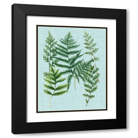 Spa Ferns I Black Modern Wood Framed Art Print with Double Matting by Weinmann