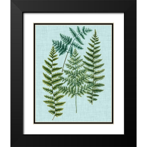 Spa Ferns II Black Modern Wood Framed Art Print with Double Matting by Weinmann