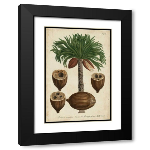 Vintage Tropicals I Black Modern Wood Framed Art Print with Double Matting by Weinmann