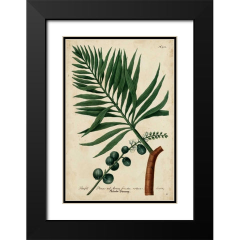 Vintage Tropicals IV Black Modern Wood Framed Art Print with Double Matting by Weinmann
