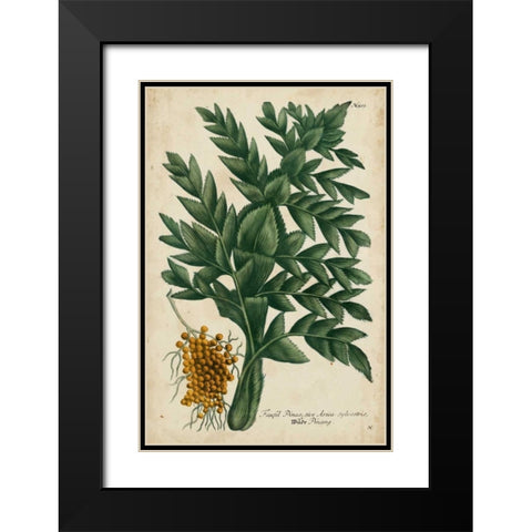 Vintage Tropicals V Black Modern Wood Framed Art Print with Double Matting by Weinmann