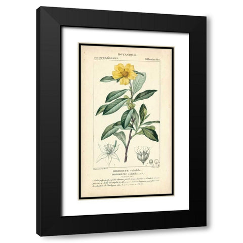 Botanique Study in Yellow I Black Modern Wood Framed Art Print with Double Matting by Turpin