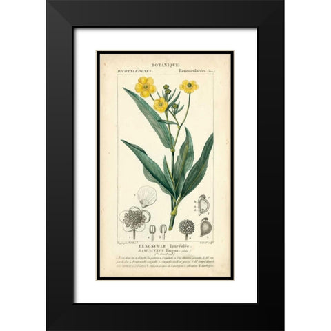Botanique Study in Yellow III Black Modern Wood Framed Art Print with Double Matting by Turpin