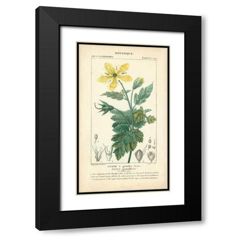 Botanique Study in Yellow IV Black Modern Wood Framed Art Print with Double Matting by Turpin