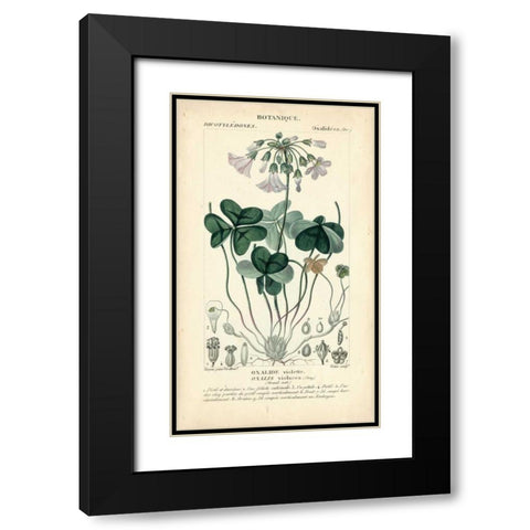 Botanique Study in Lavender I Black Modern Wood Framed Art Print with Double Matting by Turpin