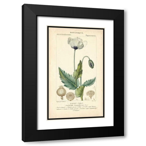 Botanique Study in Lavender II Black Modern Wood Framed Art Print with Double Matting by Turpin