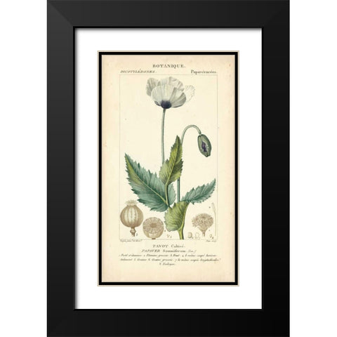 Botanique Study in Lavender II Black Modern Wood Framed Art Print with Double Matting by Turpin