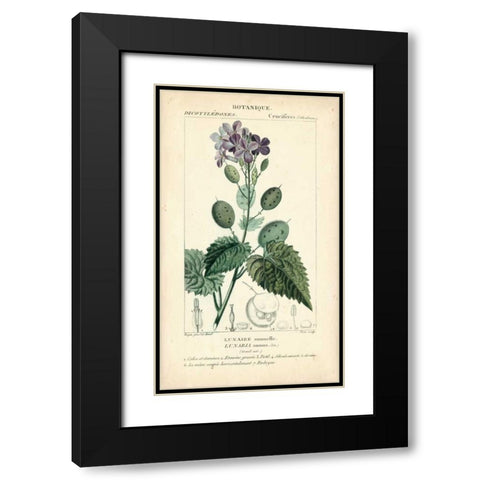 Botanique Study in Lavender III Black Modern Wood Framed Art Print with Double Matting by Turpin