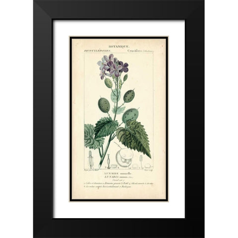 Botanique Study in Lavender III Black Modern Wood Framed Art Print with Double Matting by Turpin