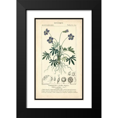 Botanique Study in Lavender IV Black Modern Wood Framed Art Print with Double Matting by Turpin