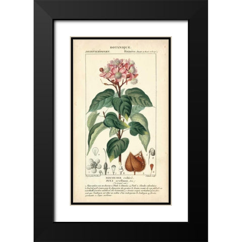 Botanique Study in Pink I Black Modern Wood Framed Art Print with Double Matting by Turpin