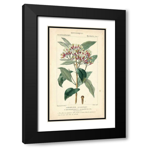 Botanique Study in Pink II Black Modern Wood Framed Art Print with Double Matting by Turpin