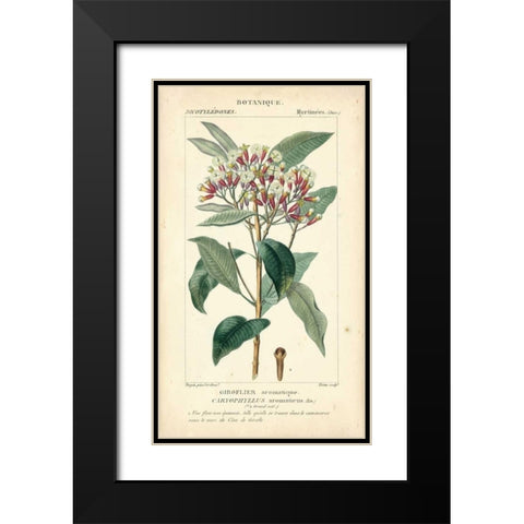 Botanique Study in Pink II Black Modern Wood Framed Art Print with Double Matting by Turpin