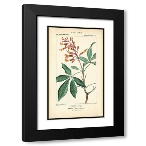 Botanique Study in Pink III Black Modern Wood Framed Art Print with Double Matting by Turpin