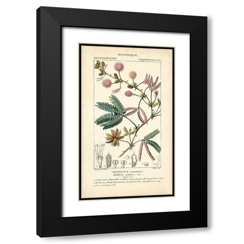 Botanique Study in Pink IV Black Modern Wood Framed Art Print with Double Matting by Turpin