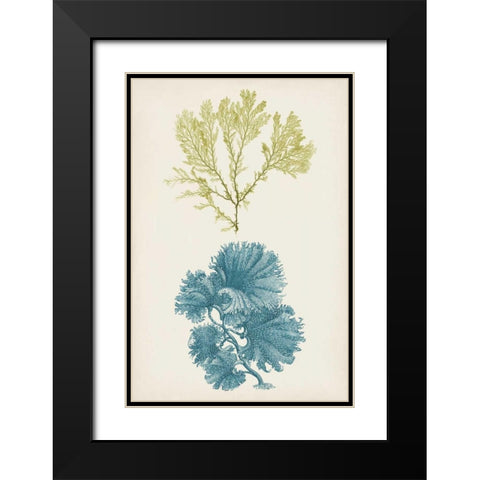 Aqua and Citron Coral I Black Modern Wood Framed Art Print with Double Matting by Vision Studio