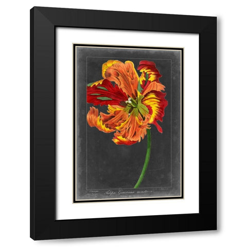 Midnight Tulip I Black Modern Wood Framed Art Print with Double Matting by Vision Studio