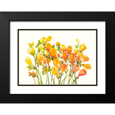 Freesia I Black Modern Wood Framed Art Print with Double Matting by OToole, Tim