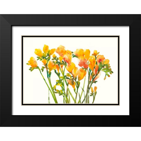 Freesia II Black Modern Wood Framed Art Print with Double Matting by OToole, Tim