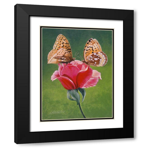 Sharing a Rose Black Modern Wood Framed Art Print with Double Matting by Szatkowski, Fred