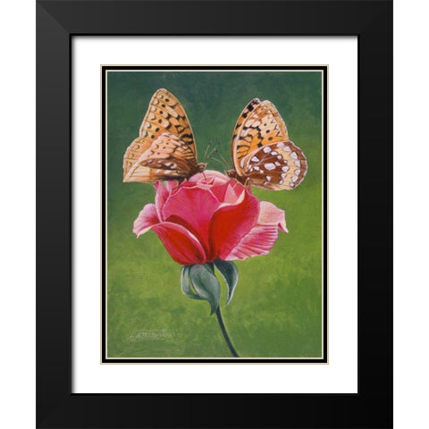 Sharing a Rose Black Modern Wood Framed Art Print with Double Matting by Szatkowski, Fred