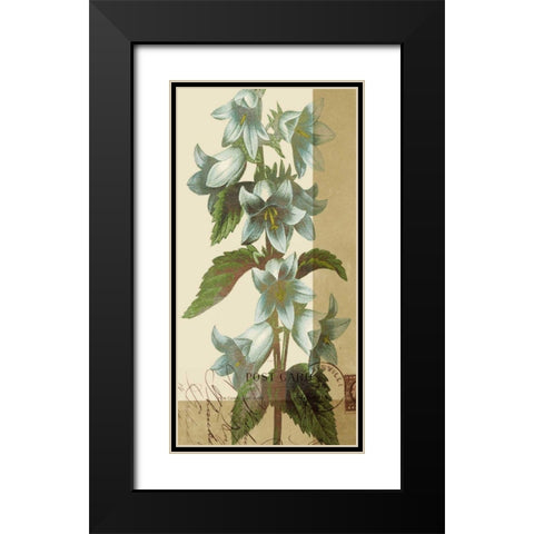 French Blue I Black Modern Wood Framed Art Print with Double Matting by Green-Aldridge, W.