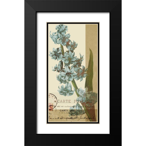 French Blue III Black Modern Wood Framed Art Print with Double Matting by Green-Aldridge, W.