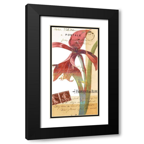 Crowning Glory I Black Modern Wood Framed Art Print with Double Matting by Green-Aldridge, W.