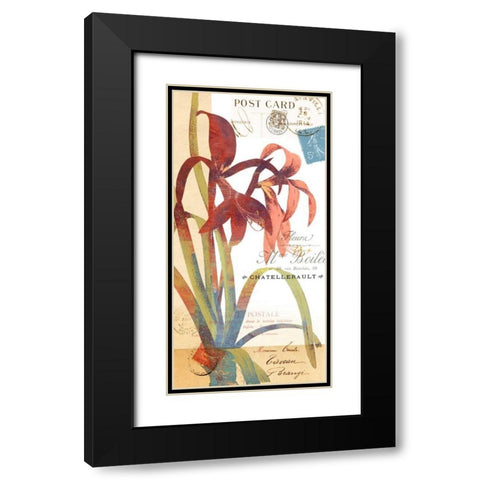 Crowning Glory II Black Modern Wood Framed Art Print with Double Matting by Green-Aldridge, W.