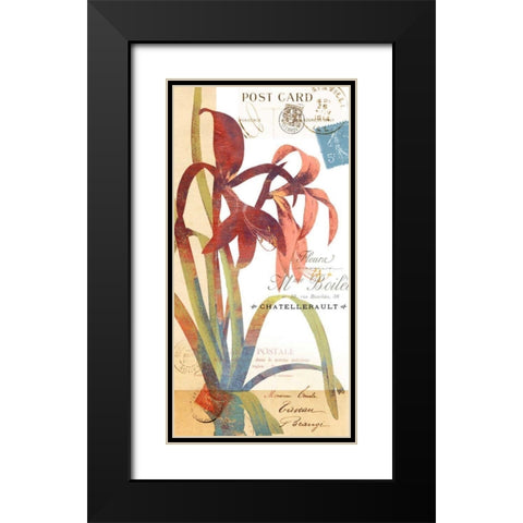 Crowning Glory II Black Modern Wood Framed Art Print with Double Matting by Green-Aldridge, W.