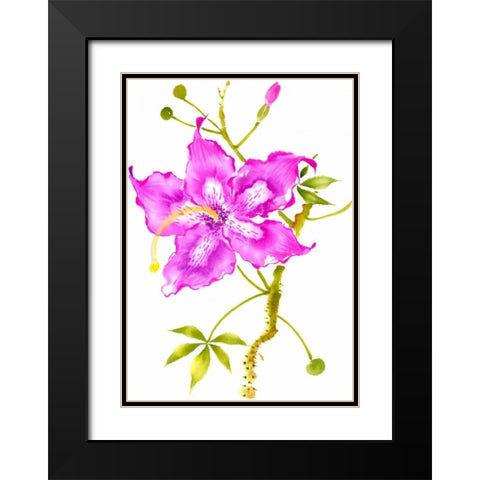 Hibiscus Flower I Black Modern Wood Framed Art Print with Double Matting by Rae, Nan