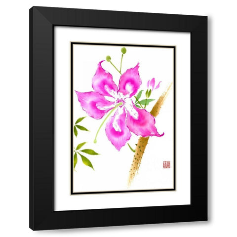 Hibiscus Flower II Black Modern Wood Framed Art Print with Double Matting by Rae, Nan