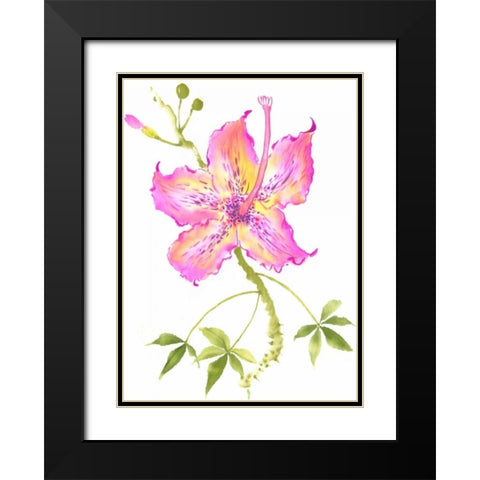Hibiscus Flower IV Black Modern Wood Framed Art Print with Double Matting by Rae, Nan