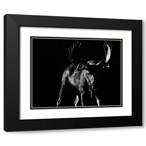 Bullish Black Modern Wood Framed Art Print with Double Matting by Chapman, Julie