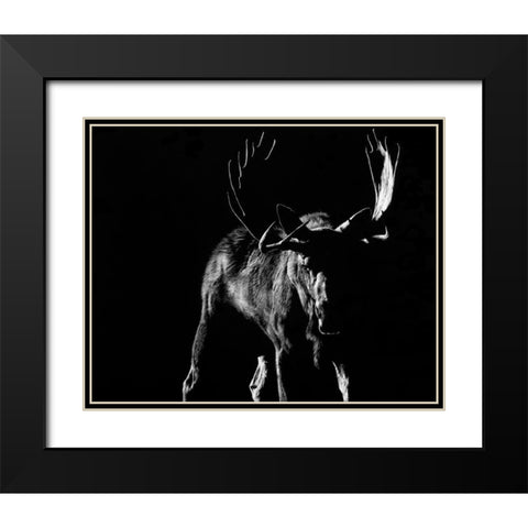 Bullish Black Modern Wood Framed Art Print with Double Matting by Chapman, Julie