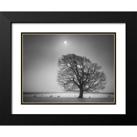 Evening Light II Black Modern Wood Framed Art Print with Double Matting by Henson, Martin