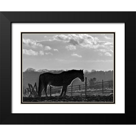 Evening Light III Black Modern Wood Framed Art Print with Double Matting by Henson, Martin