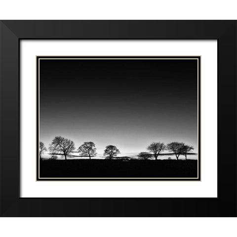 Treeline Light Black Modern Wood Framed Art Print with Double Matting by Henson, Martin