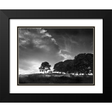 Touched by Sunlight Black Modern Wood Framed Art Print with Double Matting by Henson, Martin