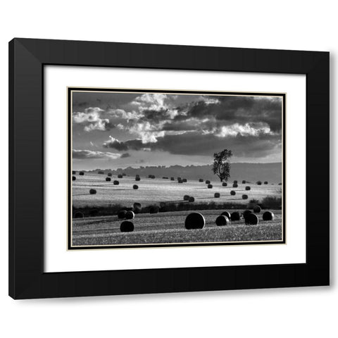 Rolls of Hay Black Modern Wood Framed Art Print with Double Matting by Henson, Martin