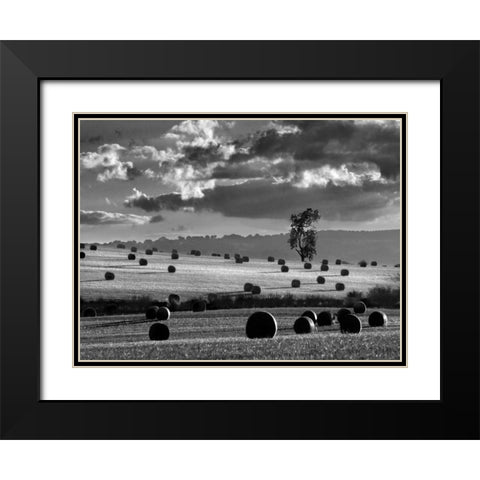 Rolls of Hay Black Modern Wood Framed Art Print with Double Matting by Henson, Martin