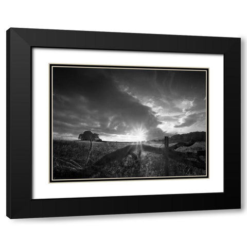 Fallen Tree Black Modern Wood Framed Art Print with Double Matting by Henson, Martin